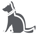 Animaux acceptés